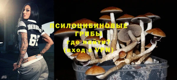 СК Алексеевка