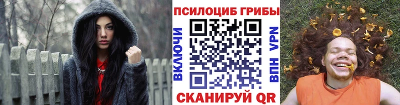 Галлюциногенные грибы мицелий  купить наркотики цена  Каменск-Уральский 
