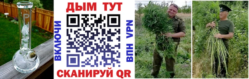 Бошки марихуана VHQ  Каменск-Уральский 